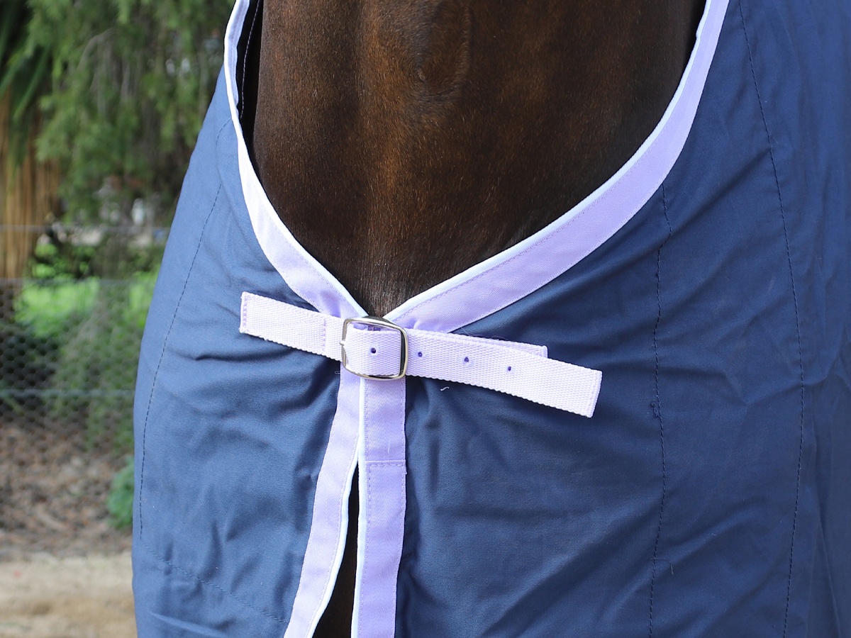 Navy Cotton Drill Rug - Image 3