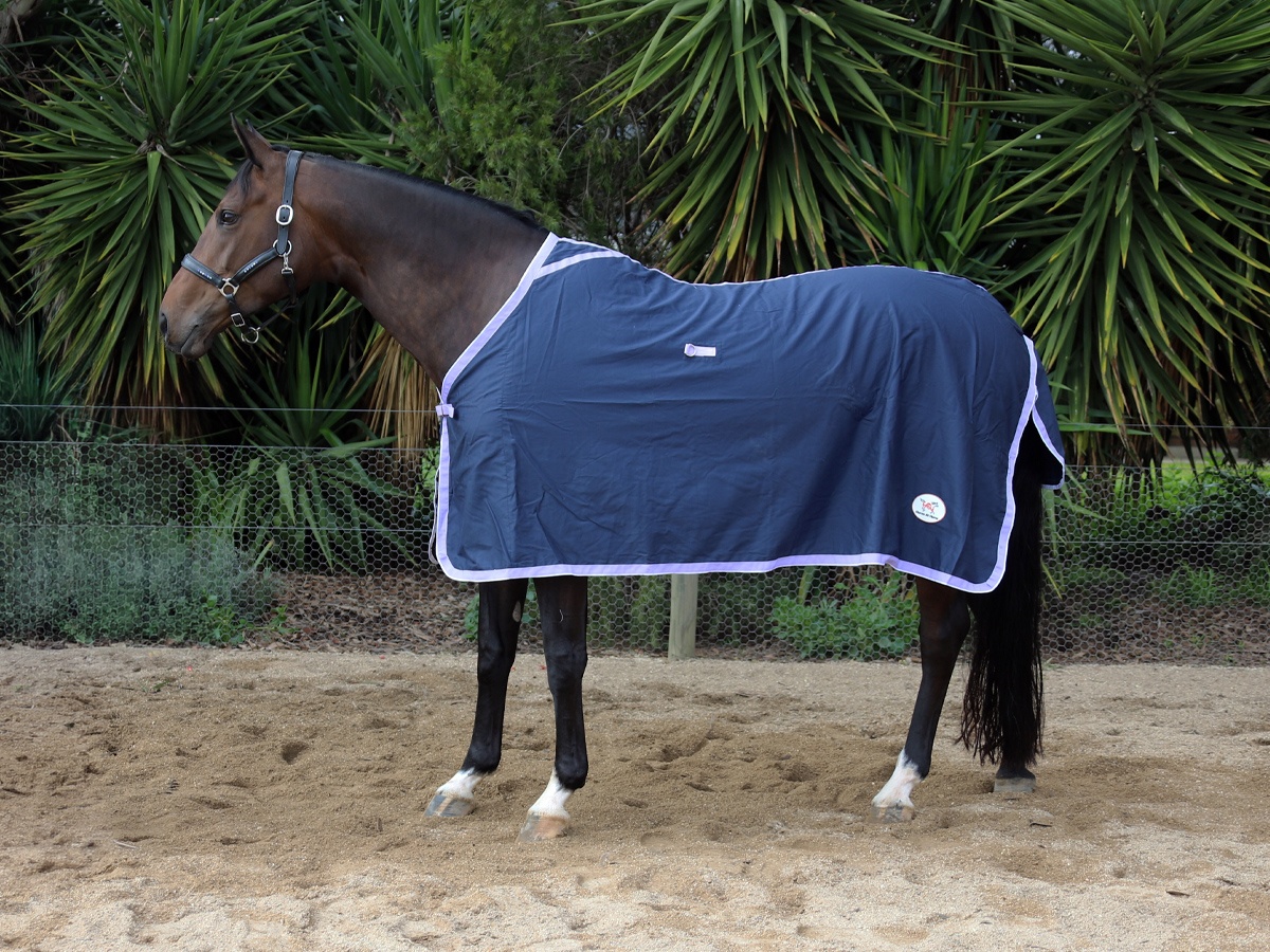 Navy Cotton Drill Rug - Image 2