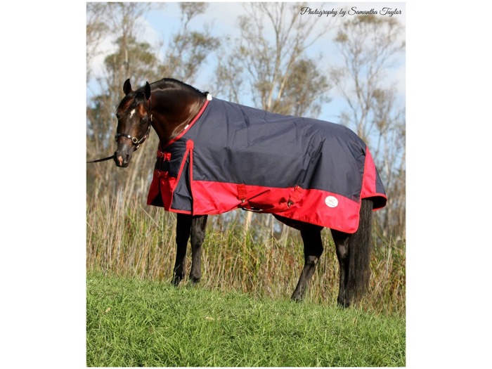 Waterproof Turnout Rugs Archives Horses at Home