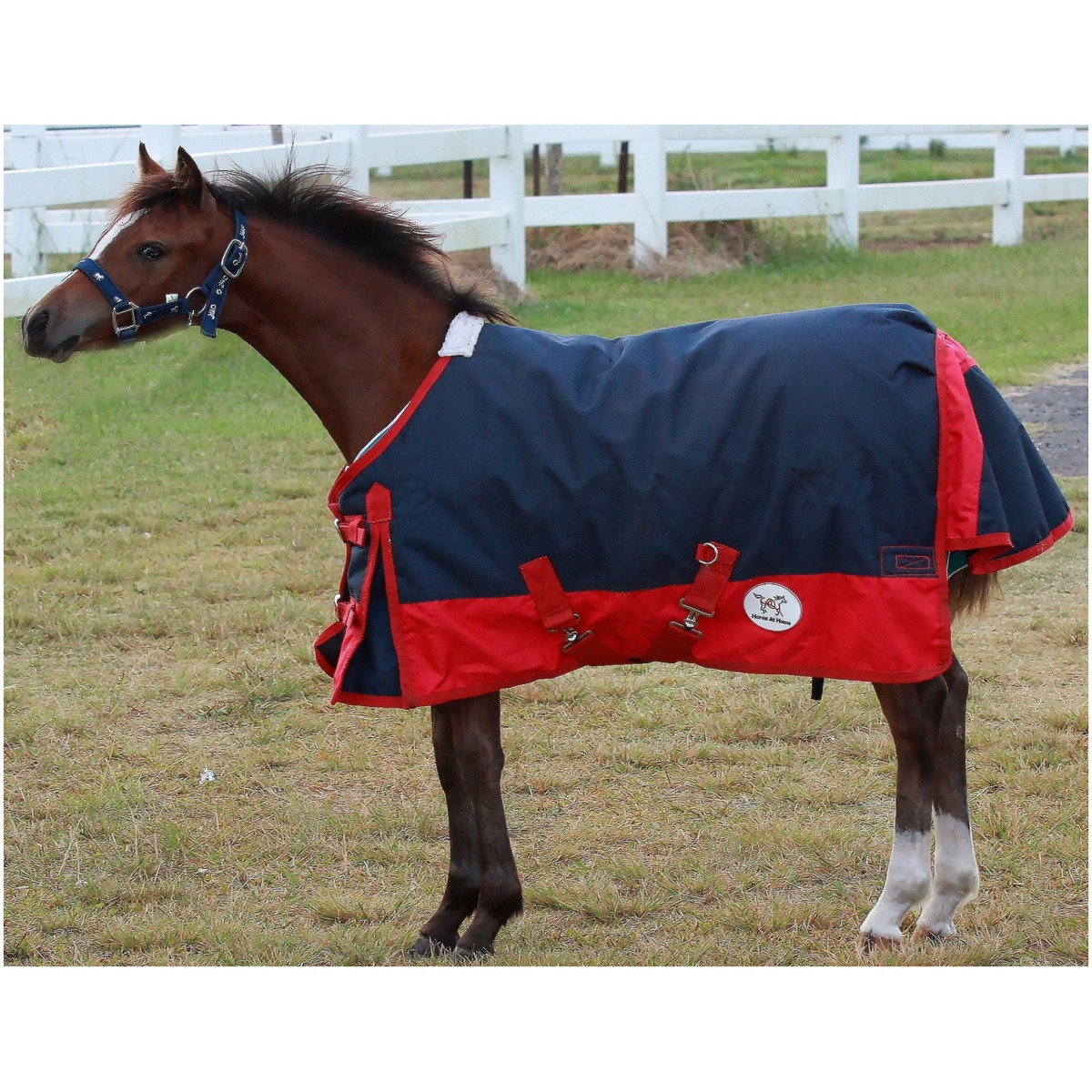 Winter Waterproof Turnout Rug Navy / Red - Horses at Home