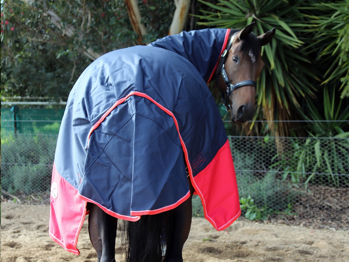 Winter Waterproof Turnout Combo Navy / Red 300g - Image 3