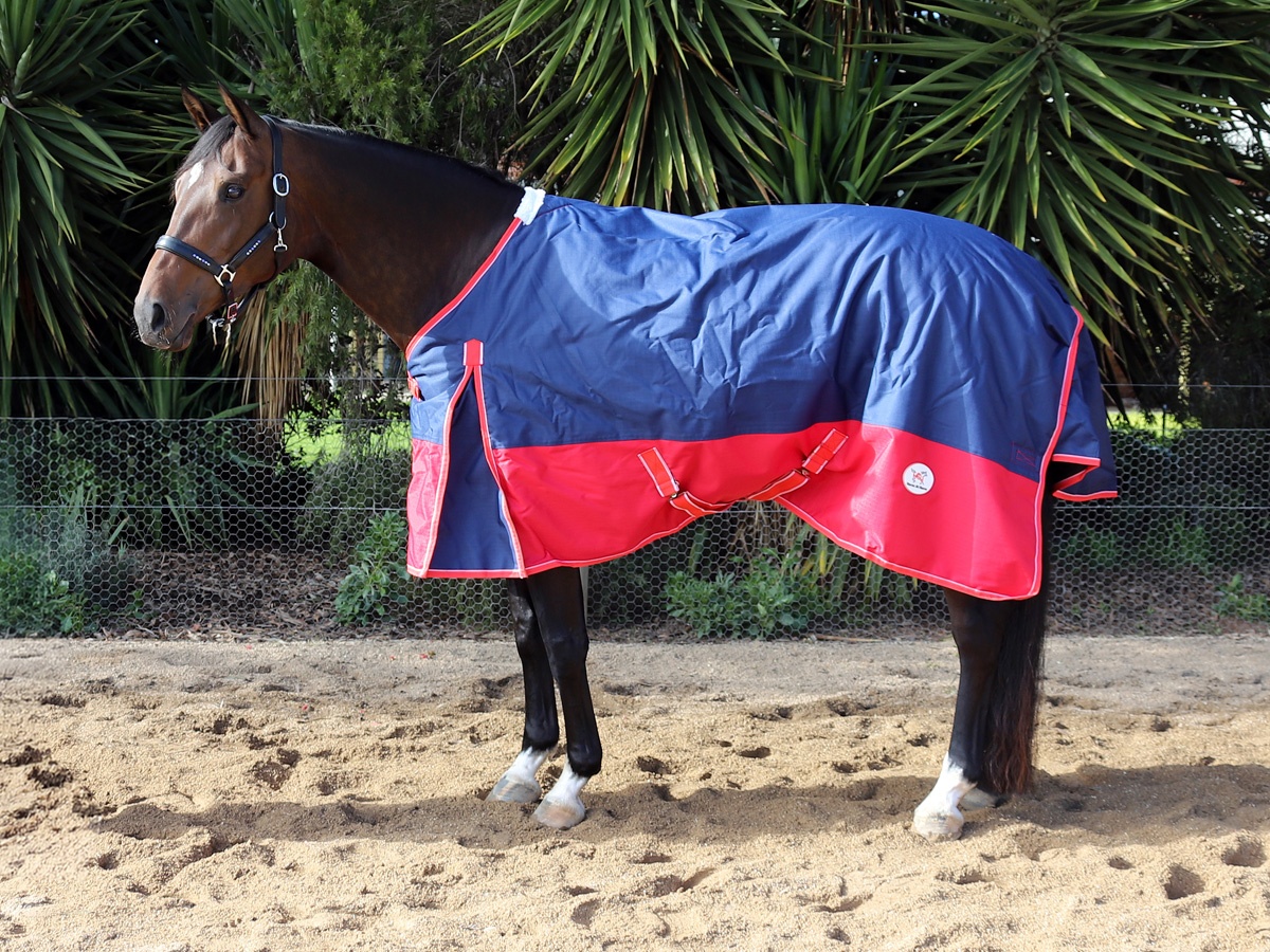 Winter Waterproof Turnout Rug Navy / Red 300g