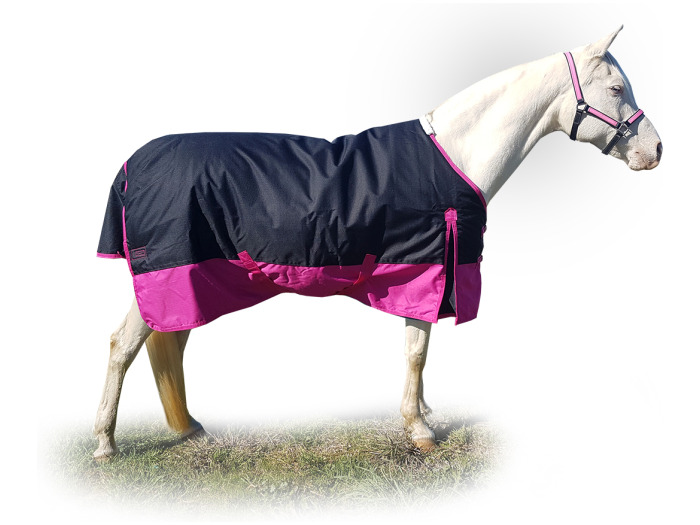 (RUNOUT) 6'3" Winter Waterproof Turnout Rug Black / Pink 300g