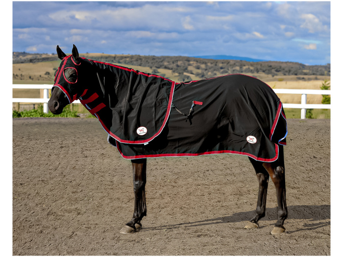 Cotton Horse Rugs and Show Rugs Horses at Home