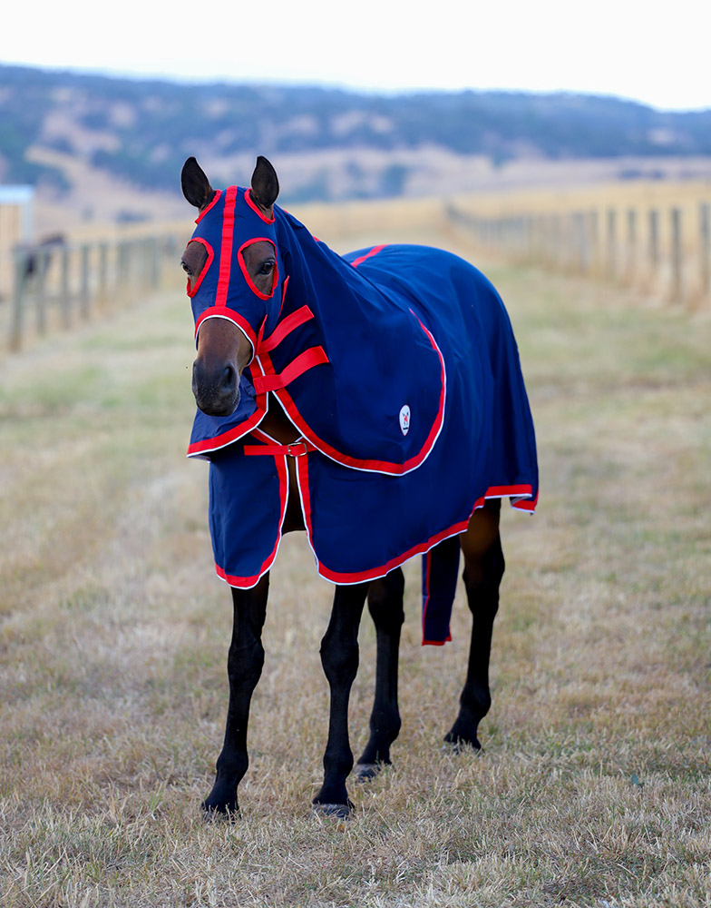 Horse Rugs Horses at Home BestFitting Rugs for Ponies and Horses