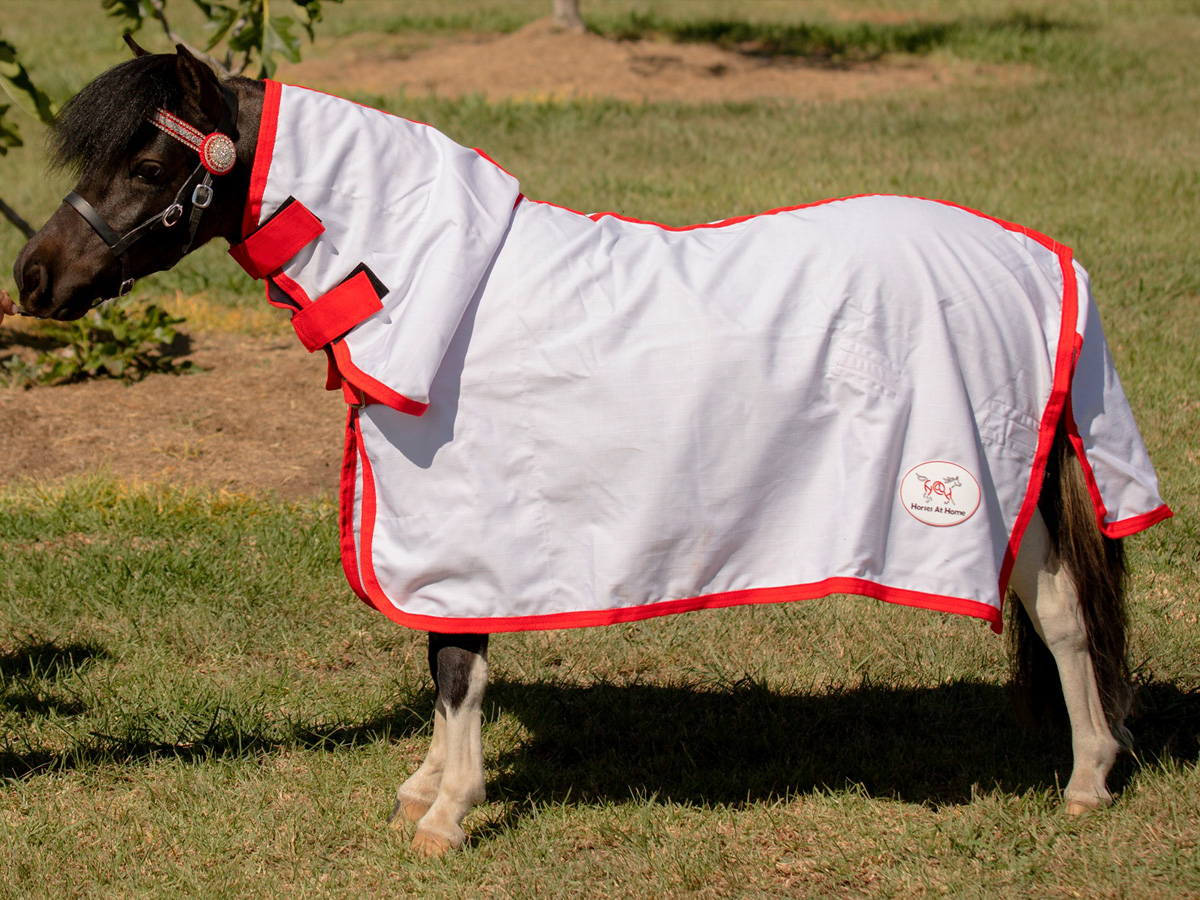 Miniature White Ripstop Combo