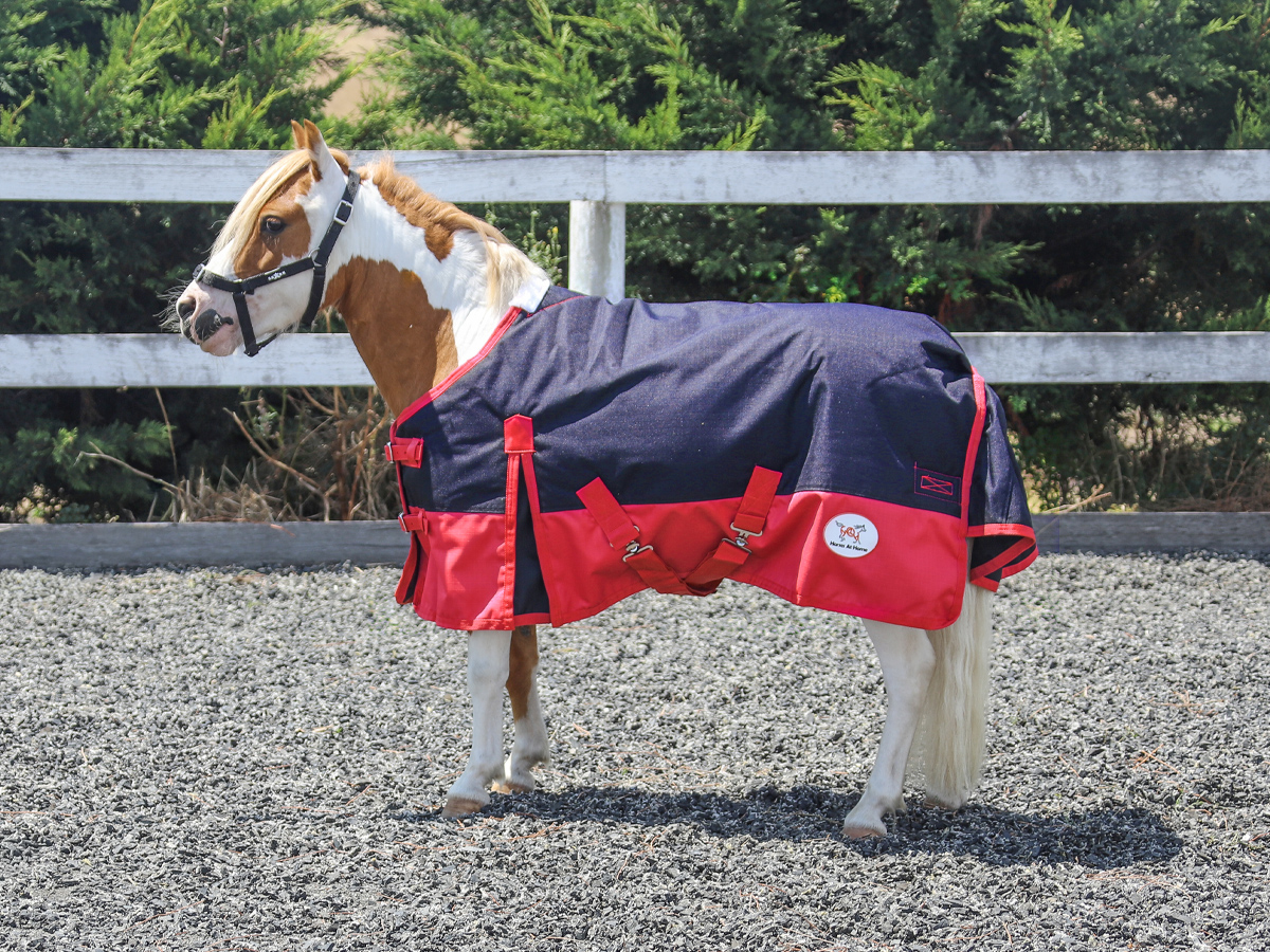 Miniature Winter Waterproof Turnout Rug Navy / Red 300g