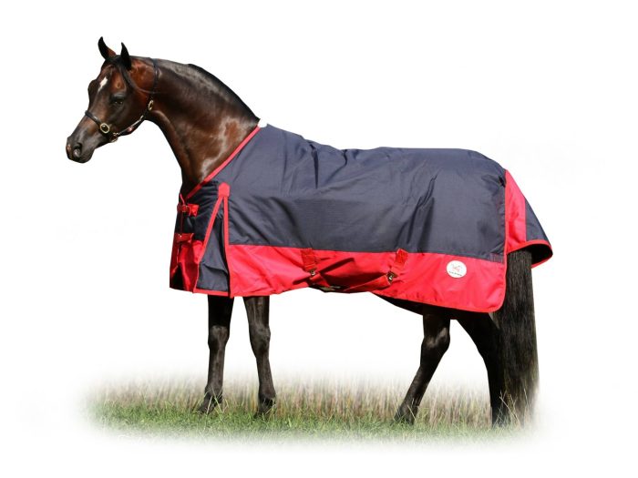 Miniature Winter Waterproof Turnout Rug Navy / Red 300g