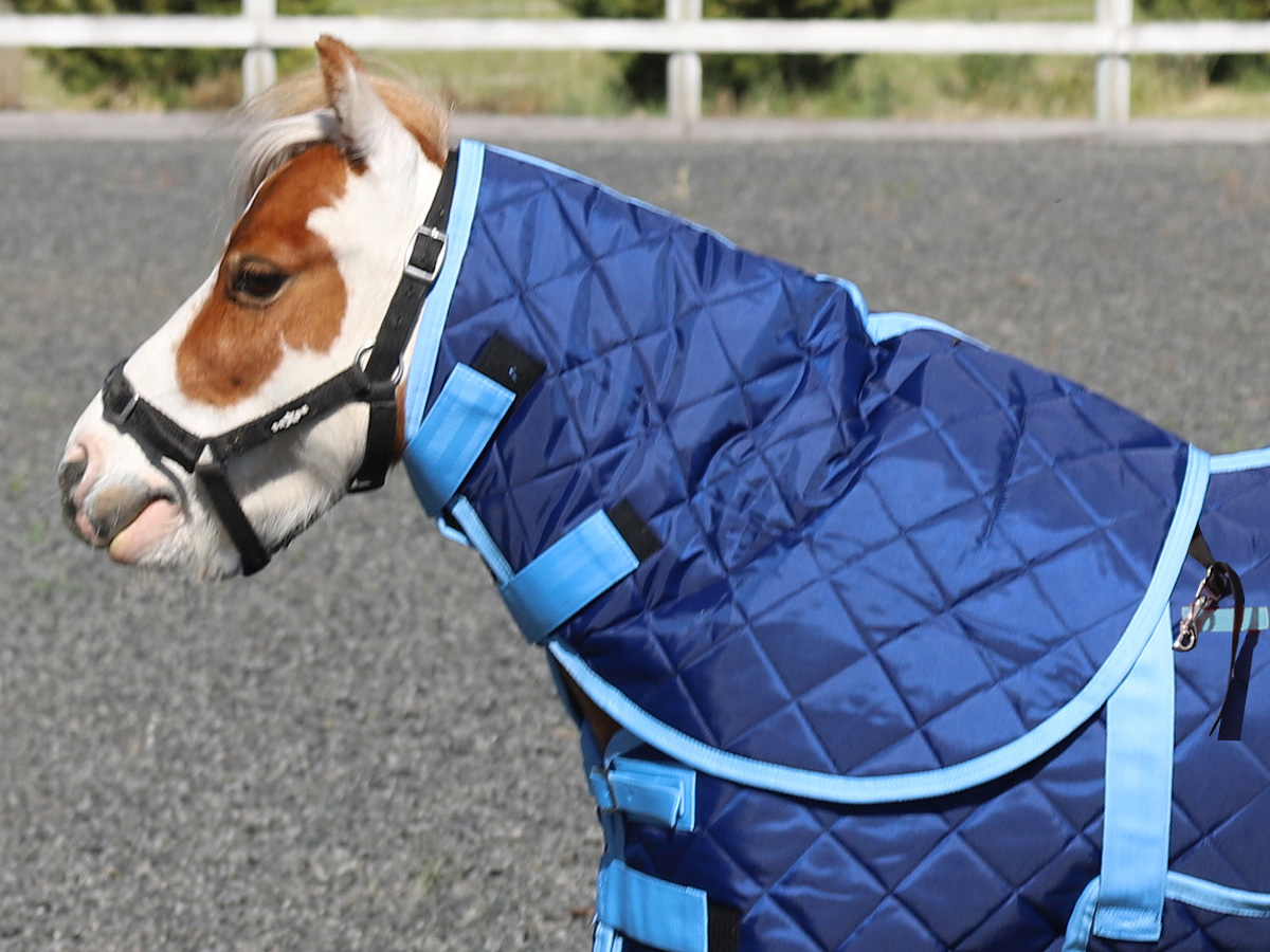 (RUNOUT) Miniature Navy Quilted Doona Neck Rug 300g