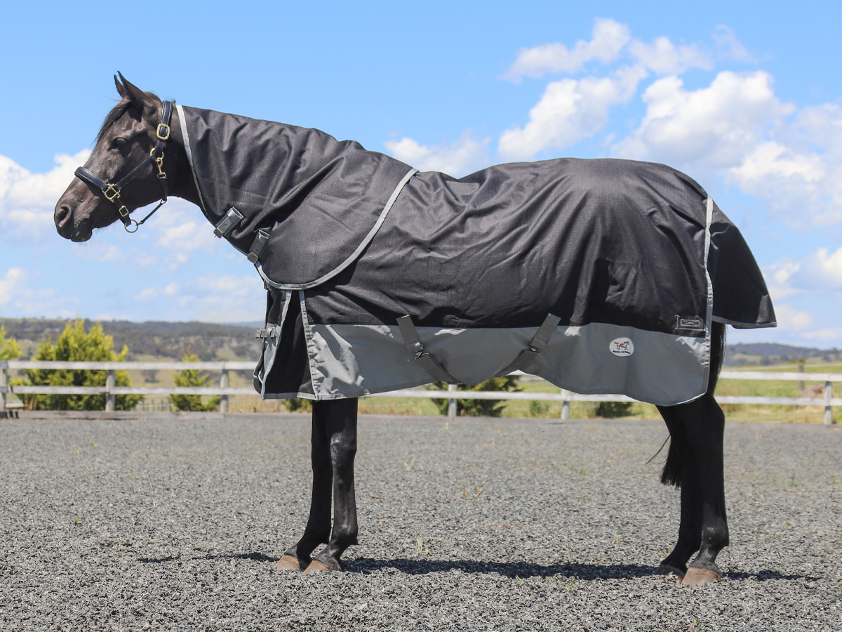 Black & Grey Winter Turnout Detach-a-Neck Horse Rug 100g
