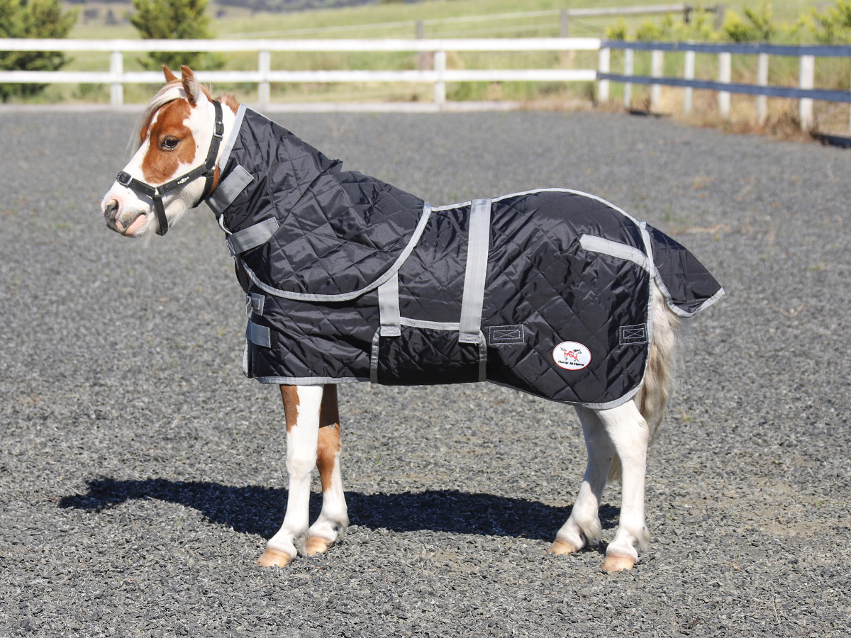 Miniature Black Quilted Doona Stable Detach-a-Neck Horse Rug 100g