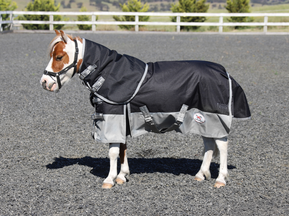 Miniature Black & Grey Winter Turnout Detach-a-Neck Horse Rug 100g