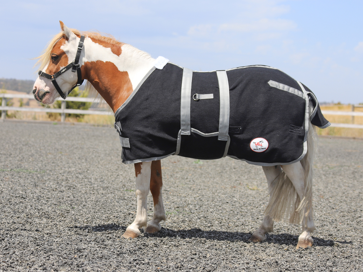 Miniature Black Fleece Rug with Grey Binding